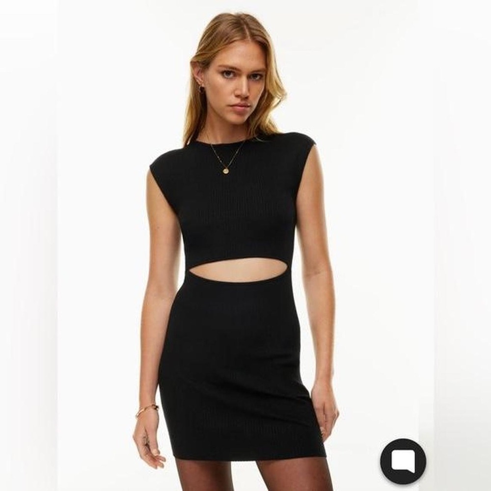 Aritizia Black Knit Dress (Wilfred Free)
